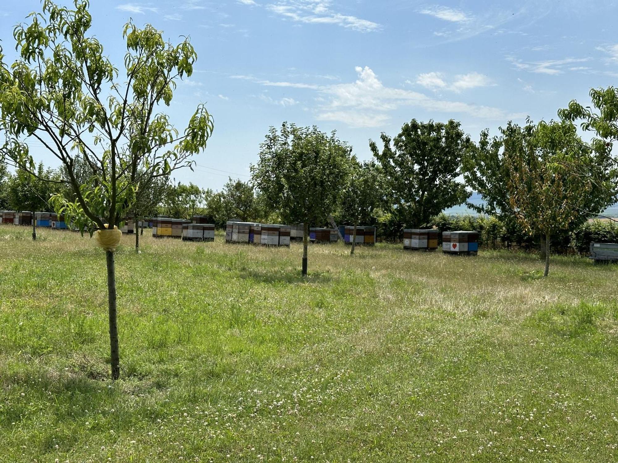 Villa Happy Cernay-les-Reims Esterno foto